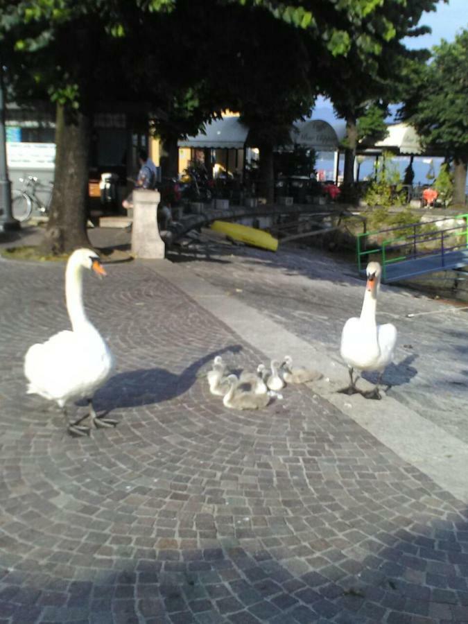 Hotel Il Guscio Baveno Exteriér fotografie